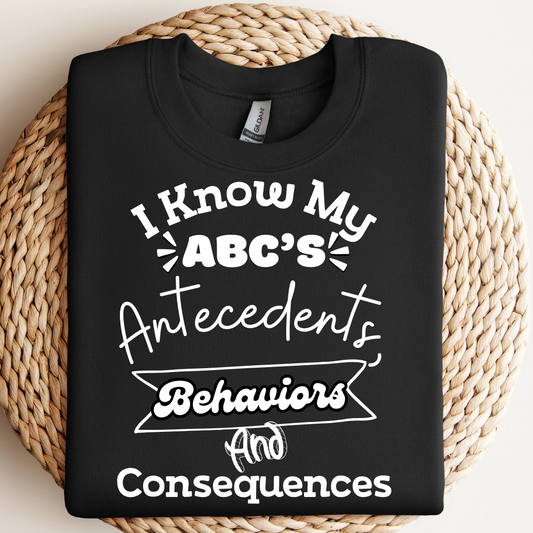 I Know my ABC's t-shirt, sweater or hoodie