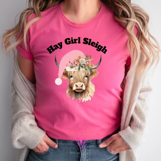Hay Girl Sleigh Highland Cow Christmas T-Shirt